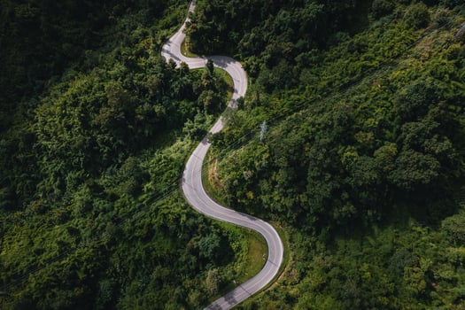 mountain road and green trees from above photo