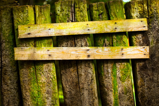 Abstract Grunge Wooden Background Texture photo