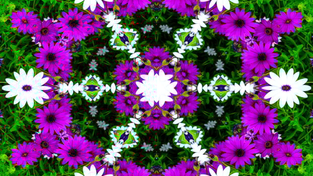 Flowers Flora Kaleidoscope photo