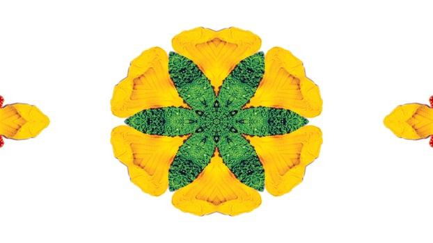Flowers Flora Kaleidoscope photo