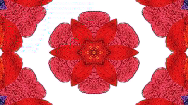 Flowers Flora Kaleidoscope photo