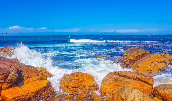 False Bay coastal landscape at Simons Town, near Cape Town in South Africa photo