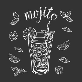 Mojito classic cocktail hand drawn vector illustration