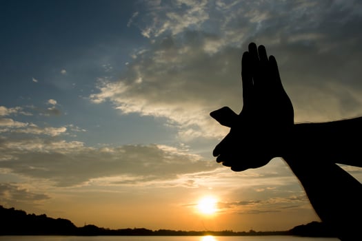 hand shaped bird fly on the sun sky morning photo