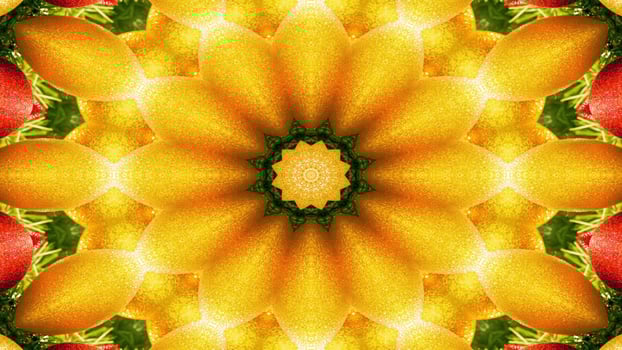 Vegetable Food Kaleidoscope photo