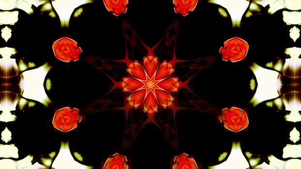 Paint Ink Brush Kaleidoscope photo