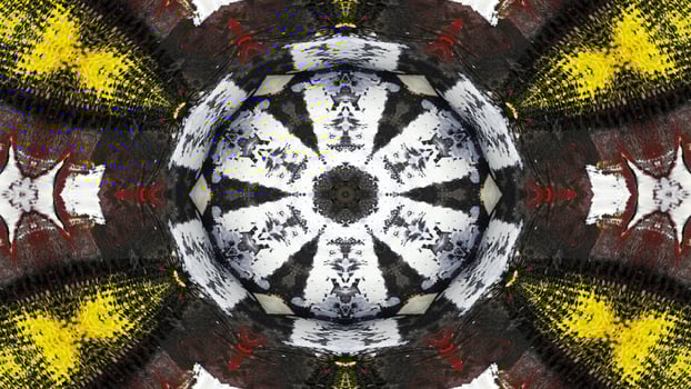 Paint Ink Brush Kaleidoscope photo
