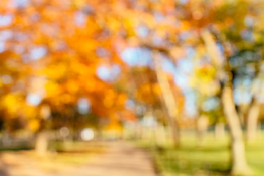 Beautiful out of focus background of a park in Autumn photo