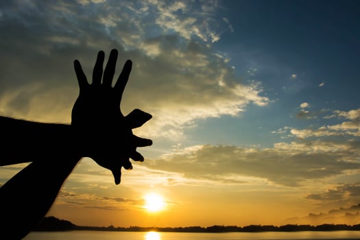 Hand shaped as bird on sunny sky morning photo
