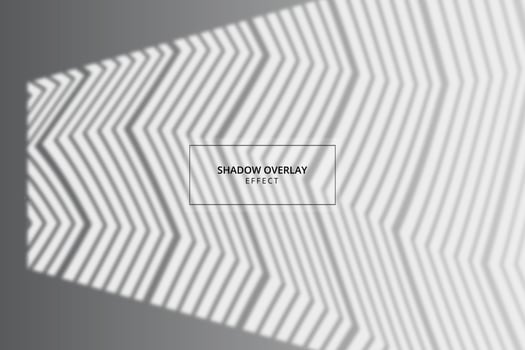 Window shadow overlay effect on gray background vector