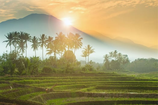 morning view with morning sun over the mountain photo