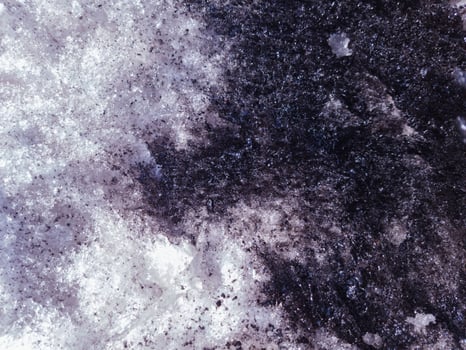Spills of crude oil on the snow surface. photo