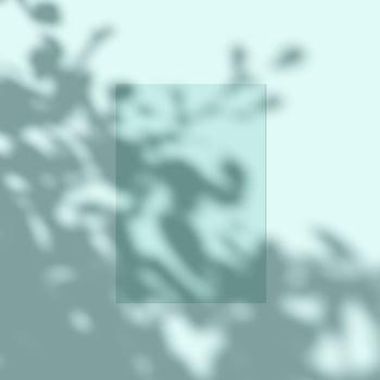 3d rendering, shadow overlay effect, various mockup. photo