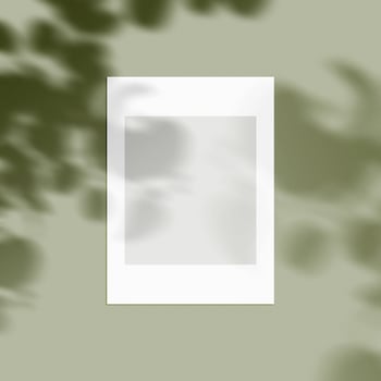 3d rendering, shadow overlay effect, various mock-ups photo