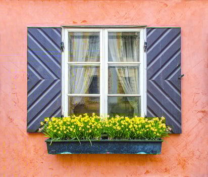 Old window close up. Yellow flowers. photo