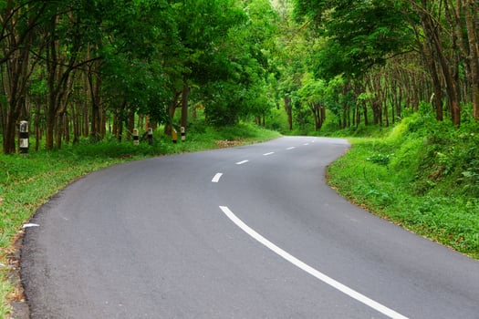 Beautiful road and tree view photo