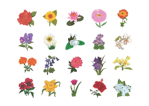 Flowers kids book illustration set, rose, sunflower, lotus vector