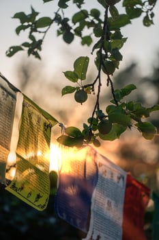Buddhist prayer flags flutter in the wind. Faith Buddhism. photo