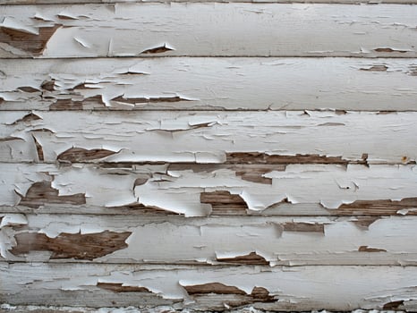 wooden texture with old white paint. white wood planks background photo