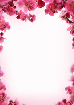Beautiful spring flowers frame background, Season theme, hello spring photo