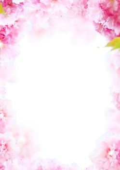 Beautiful spring flowers frame background, Season theme, hello spring photo