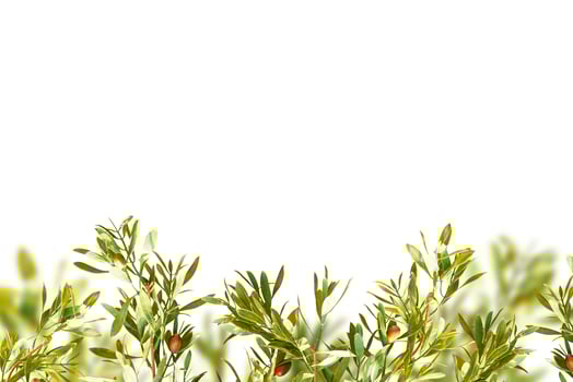 Summer frame, banner, summer sale background photo