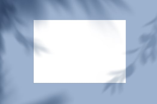 Summer frame and free space for text, summer background photo