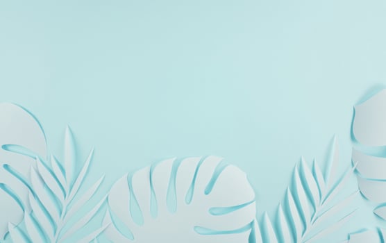 Paper cutting palm leaves, paper concept of tropical summer photo