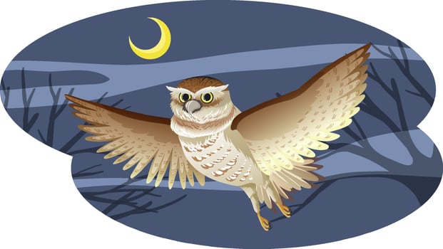 Owl bird in flying pose at night vector