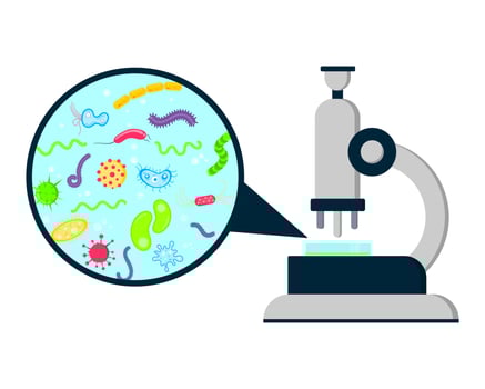 Laboratory biology research science lab analisys equipment template. vector
