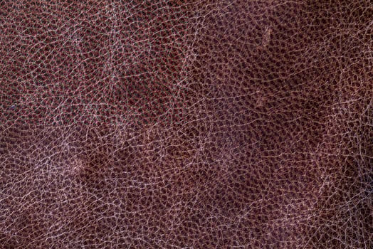 Seamless Real Leather Pattern photo