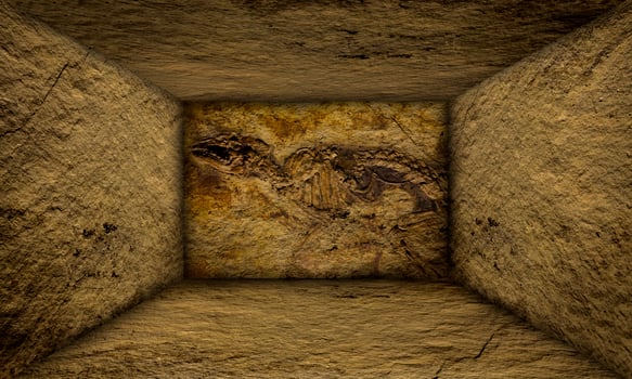 Abstract Urban Interior Prehistoric Fossil on Walls Stage photo