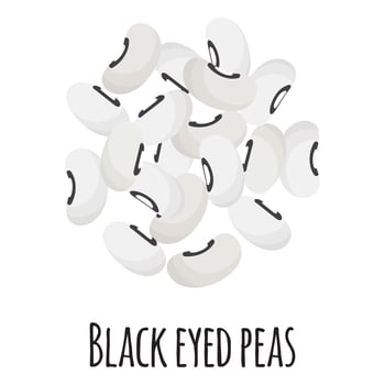Black eyed peas beans for template farmer market designl and packing. vector