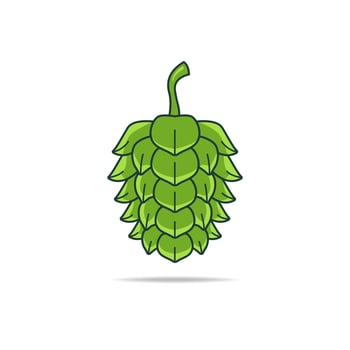 Beer Green Hop Flower ready for beer marketing and selling purposes vector