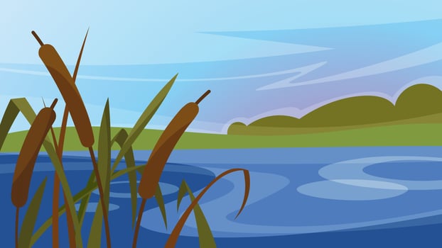 Landscape with reeds on the river. Beautiful natural scenery. vector