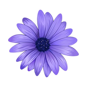 Beautiful purple daisy flower isolated on white background. vector