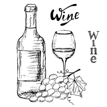 bottle and glass of wine with a branch of grapes. vector