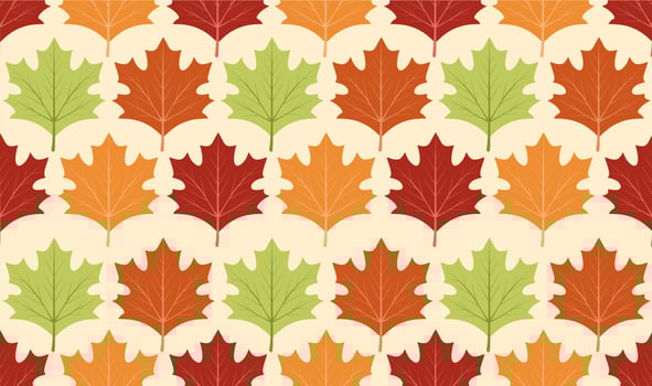 seamless pattern of maple leaves vector