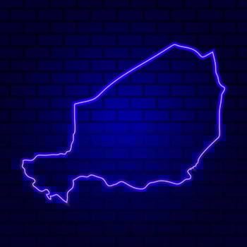 Niger glowing neon sign on brick wall background photo