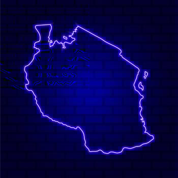 Tanzania glowing neon sign on brick wall background photo