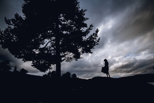 Silhouette of a woman in a dress standing under a tree on a sky photo