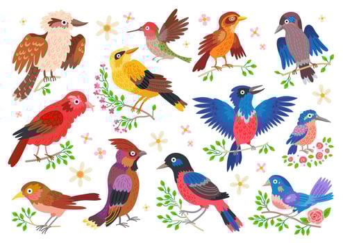 Set of forest birds. Vector cartoon songbirds