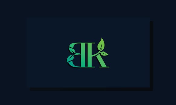 Minimal leaf style Initial BK logo. vector