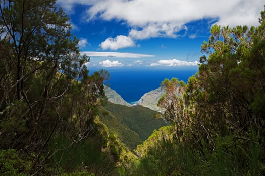 Landscape with mountains and the ocean photo