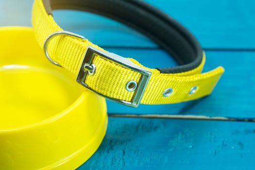 Pet collars and Bowls of yellow on wooden background. photo