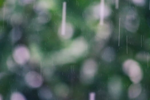 Defocused of foliage under the droplets of water rain. photo