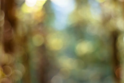 Out of focus green nature background. photo