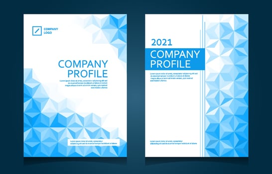 Modern Company Profile Template vector