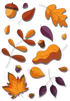 Cartoon set of fallen autumn botanical forest plants. vector