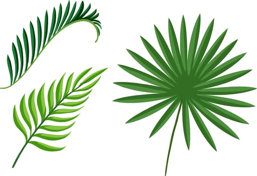 Set of tropical green plant leaves vector